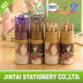 Gorgeous Paper Tube with Cylinder Color Pencils